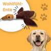 Wohlfühl Ente