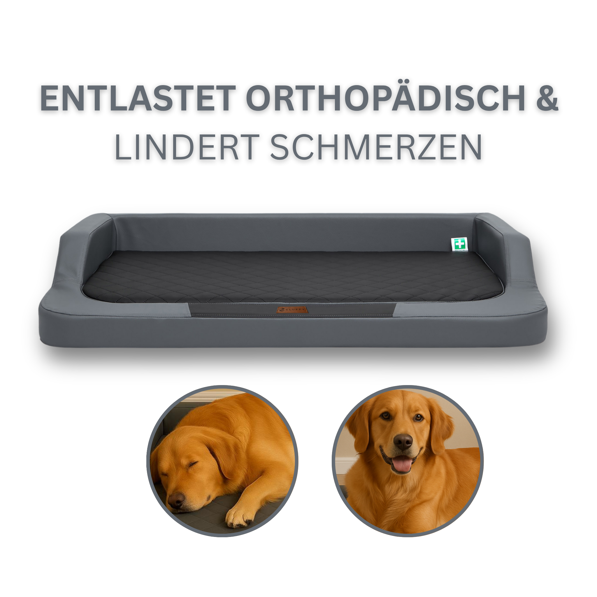 Orthopdisches Premium Hundebett CLUFFY