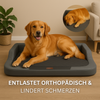 Orthopädisches Hundebett CLUFFY